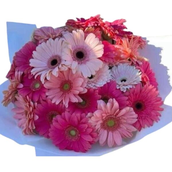 Pink Bouquet